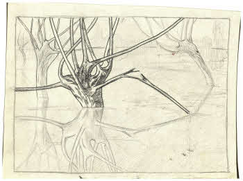 Visualizza l'immagine "FD D 37"